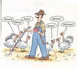 Thanksgiving cartoon